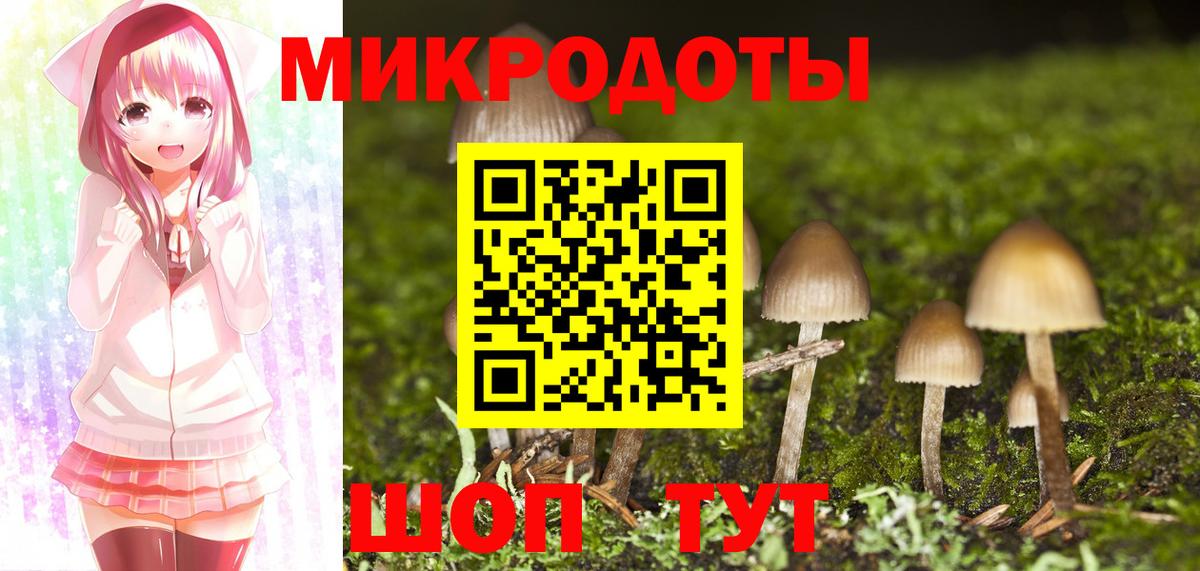Псилоцибиновые грибы Psilocybe  Вход с VPN  Усть-Кут 